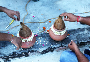 anmashtami